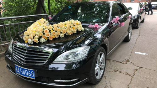 河南租車報(bào)價(jià)、廠家資源與二手車經(jīng)銷市場(chǎng)概覽